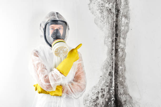 Best Industrial Mold Remediation  in Cardington, OH