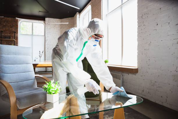 Why You Should Choose Our Mold Remediation Services in Cardington, OH