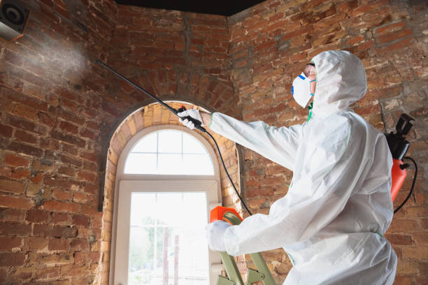 Best Biohazard Mold Removal  in Cardington, OH