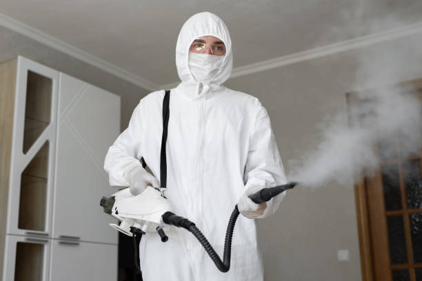 Best Environmental Consulting for Mold Prevention  in Cardington, OH